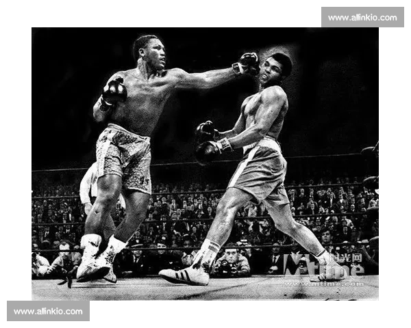 克利钦科与皮特激战回顾：拳坛传奇对决再掀波澜